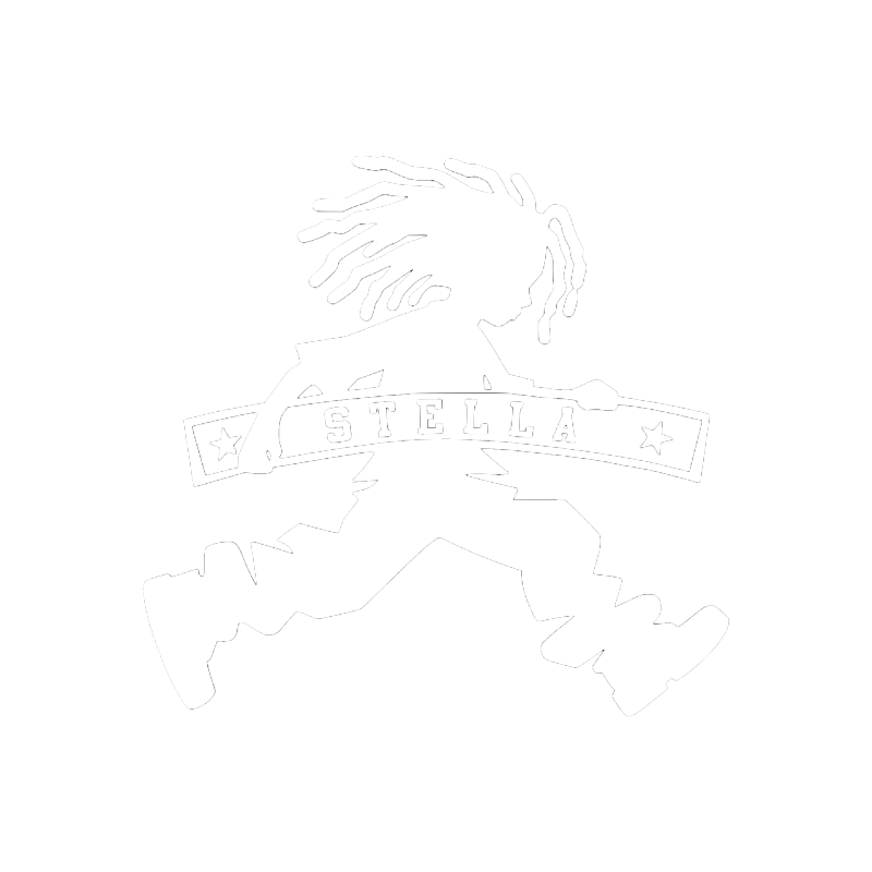 Vicus Stella